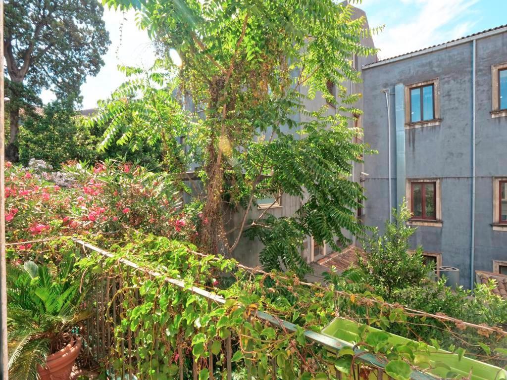 Piccadilly House Bed & Breakfast *